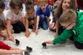 students petting chicks