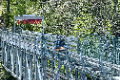 student on mountain coaster