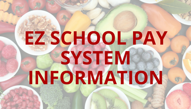 E Z SCHOOL PAY SYSTEM INFORMATION