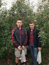 two male students apple picking