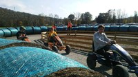 students on go carts