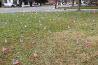 lawn full of flags
