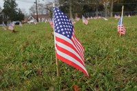 close up of american flag with many other planted behind it