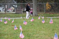 grass full of flags students planting more in background