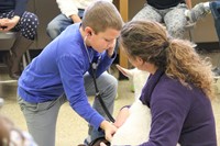 another boy listens to goats heart using stethescope