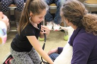 another girl listens to goats heart using stethescope