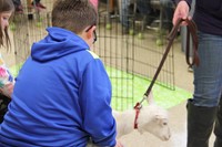 another boy pets captain the goat