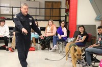 trooper k 9 walks around room