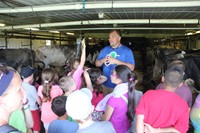 dutch hill creamery owner teachers students about cows inside of cow barn