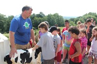 students pet one week old calf.