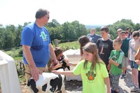 more students pet one week old calf