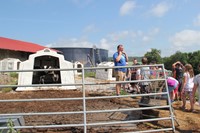 owner shows students calves outside