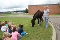 tiger the horse visits cv summer steam program