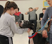 dog looking at student