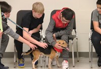 students petting dog