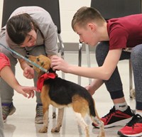 students petting dog