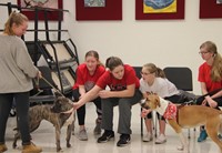 students and two dogs