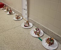 gingerbread houses in hallway