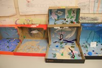 completed ocean habitat shoe boxes on table