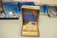examples of completed ocean habitat shoeboxes