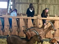 students petting goats