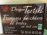 dragon teotski sign