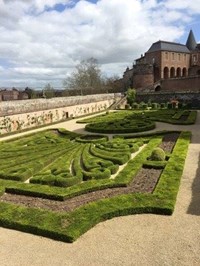 garden in back of building