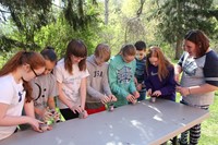 students planting seeds in cup