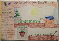 up close of poster about how to grow green beans