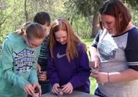 medium shot of students planting seeds