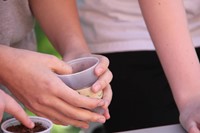 up close of student putting seed into soil