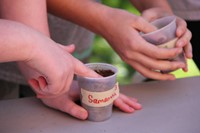 up close of student pressing seed into soil