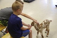 student petting goat 8
