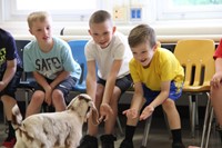 goat visiting students sitting 6