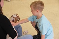 student petting goat 4