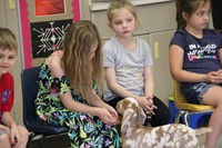 goat visiting student sitting 5