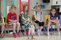 goat visiting students sitting 3