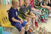 goat visiting students sitting 1