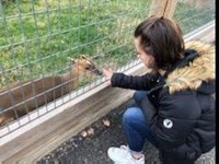 Chenango Valley French Exchange student petting animal