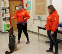 search and rescue trainers working with dog