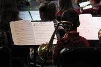 student playing instrument in concert