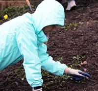 Day of Caring 12