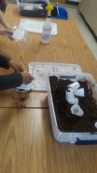 Second Grade Ag in the Classroom Activity 9