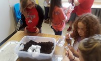 Second Grade Ag in the Classroom Activity 8