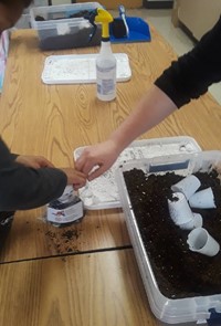 Second Grade Ag in the Classroom Activity 7