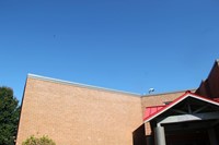 wide shot of bald eagle flying over school