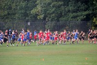 runners beginning to run