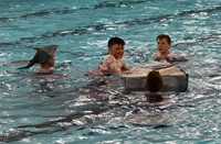 students in water