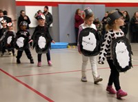 multiple students walking in penguin parade