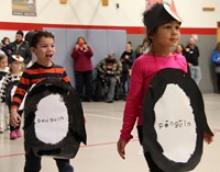 students walking in penguin parade